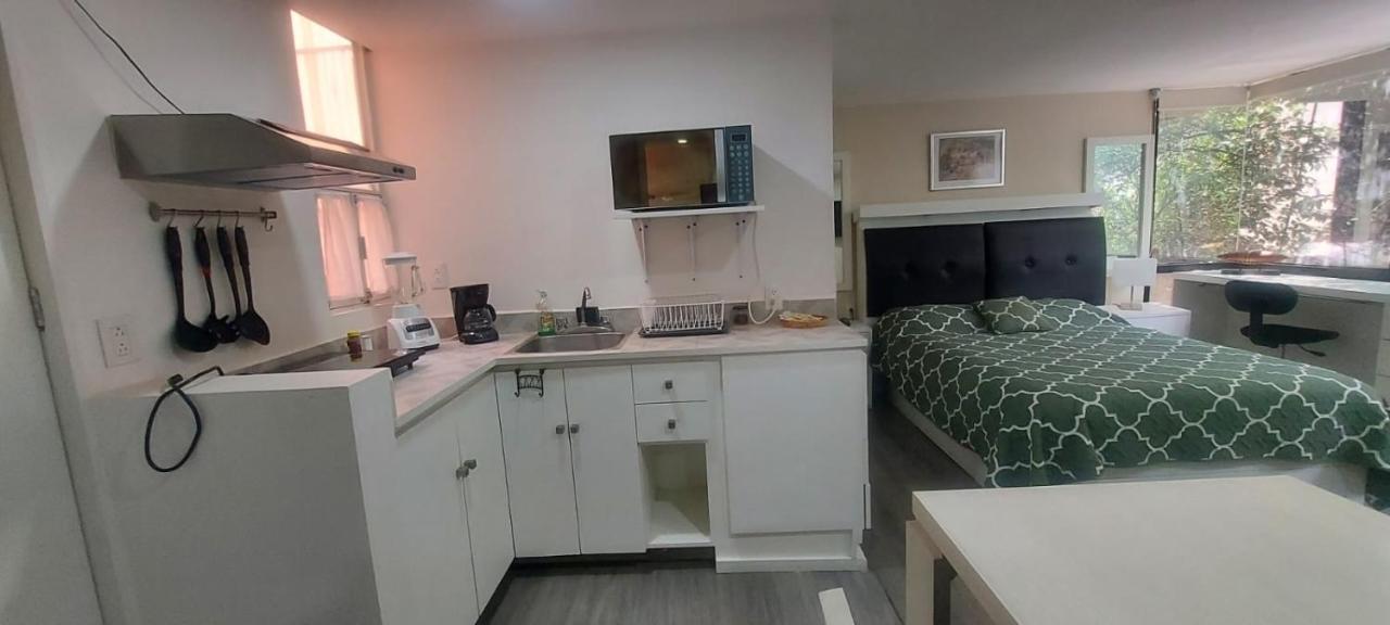 Lovely Loft At The Business Heart Of Мехико Экстерьер фото